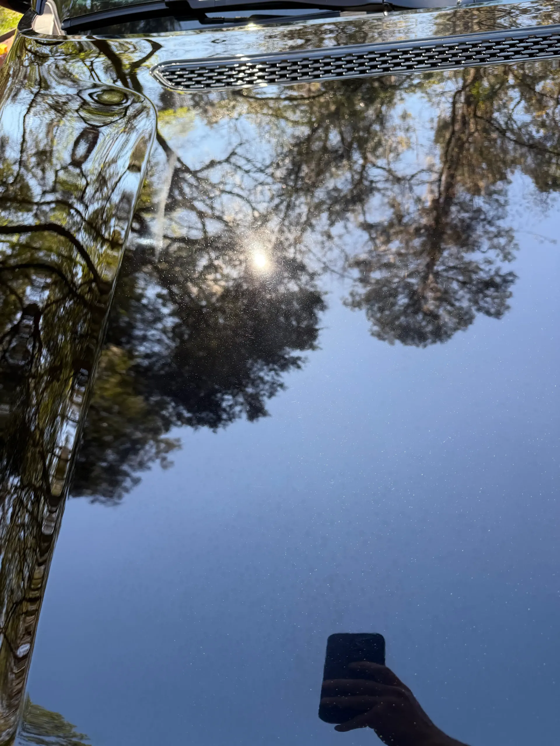 A person holds a phone to take a photo of a reflective car hood, showing a clear reflection of pine trees and the sky.