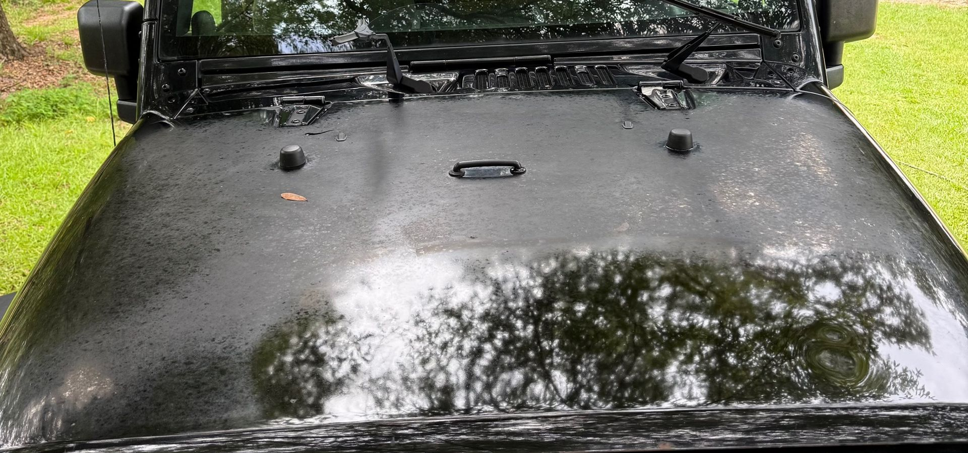 Black Jeep hood covered in light rain droplets with reflections of trees, seen from the windshield perspective.