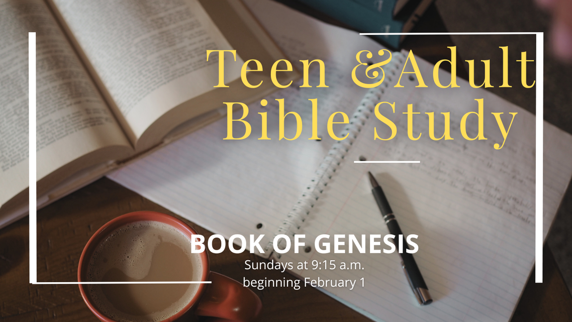 Bible Study for teens and adults book of genesis