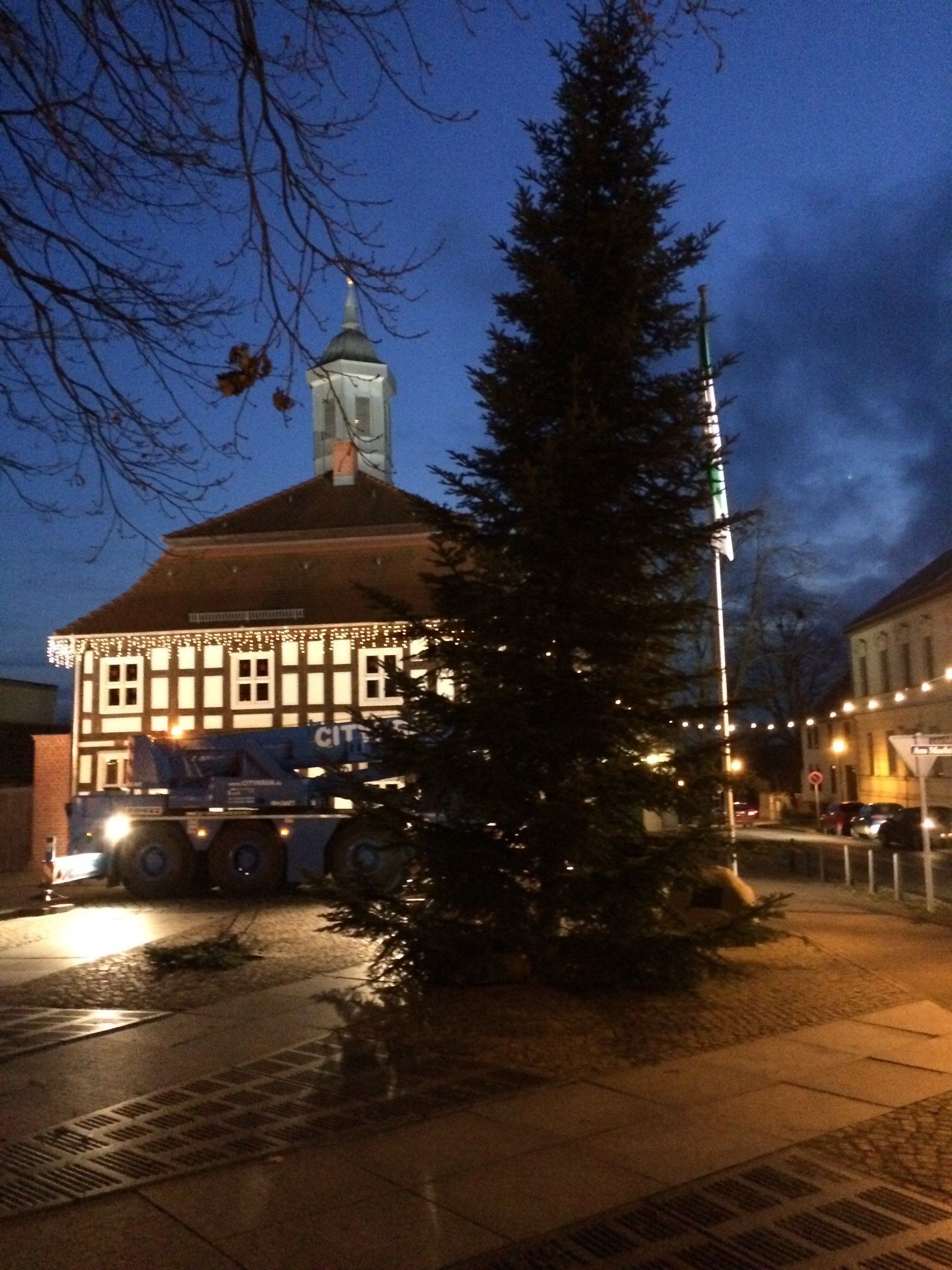 Tannenbaum auf einem Platz