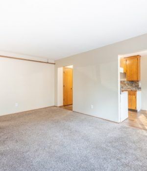 Hyde Park Living room-007