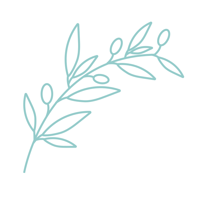 Simple line drawing of an olive branch, in dark blue-green on a light grey background
