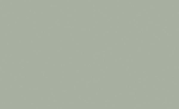 Matte Succulent Color Option