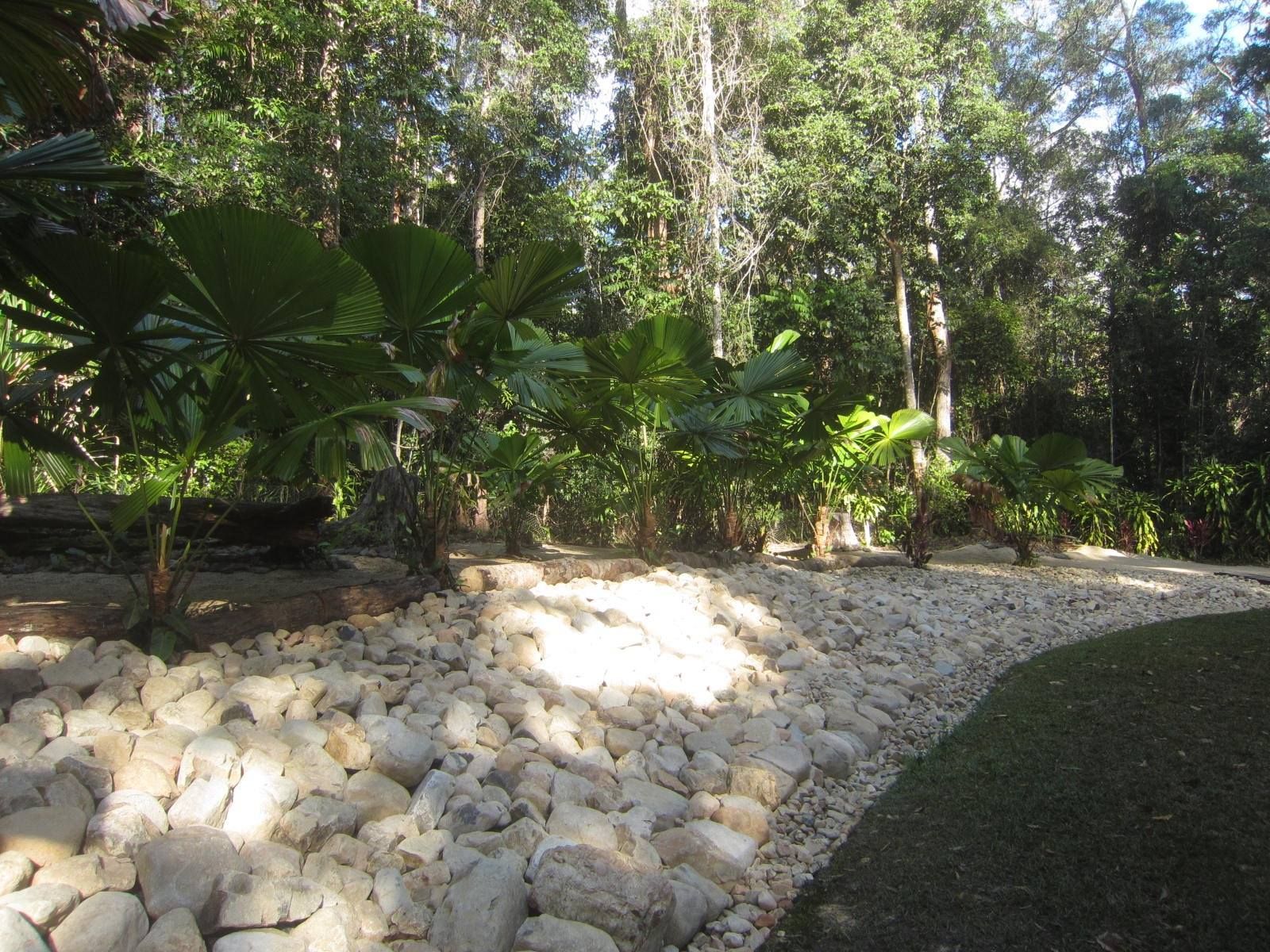 Pathway Through a Tropical Garden With Fan Palms and Bright Sunlight — Kuranda Landscape Supplies in Kuranda, QLD