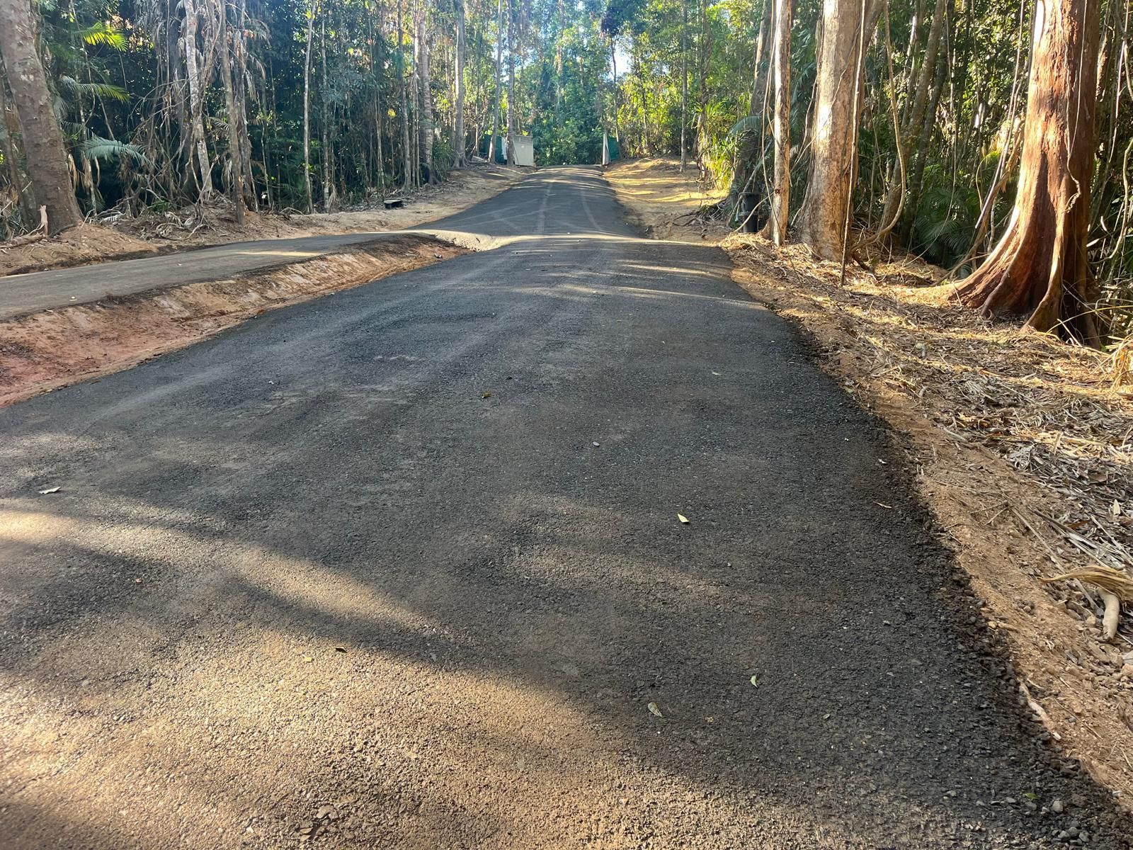 Gravel road winding through a forest, sunlight filtering through trees — Kuranda Landscape Supplies in Kuranda, QLD