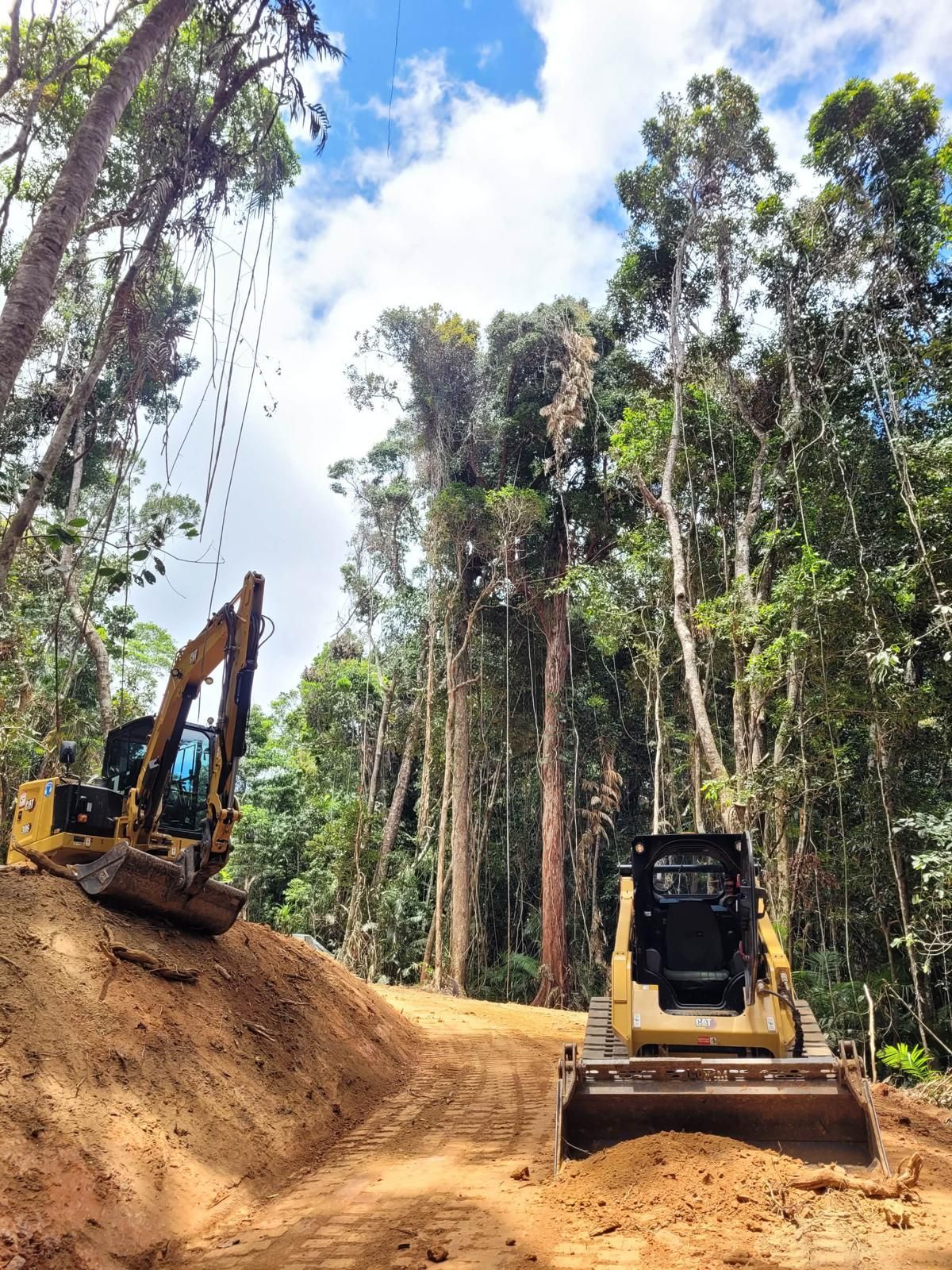 Two excavators on a dirt road in a forest, clearing trees under a blue sky — Kuranda Landscape Supplies in Kuranda, QLD