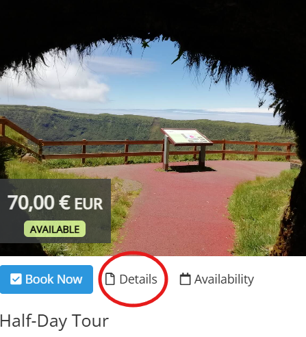 View of the Caldeira do Faial viewpoint.