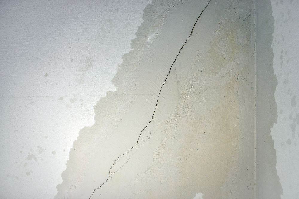 Damp Wall Cracks and Water Leak