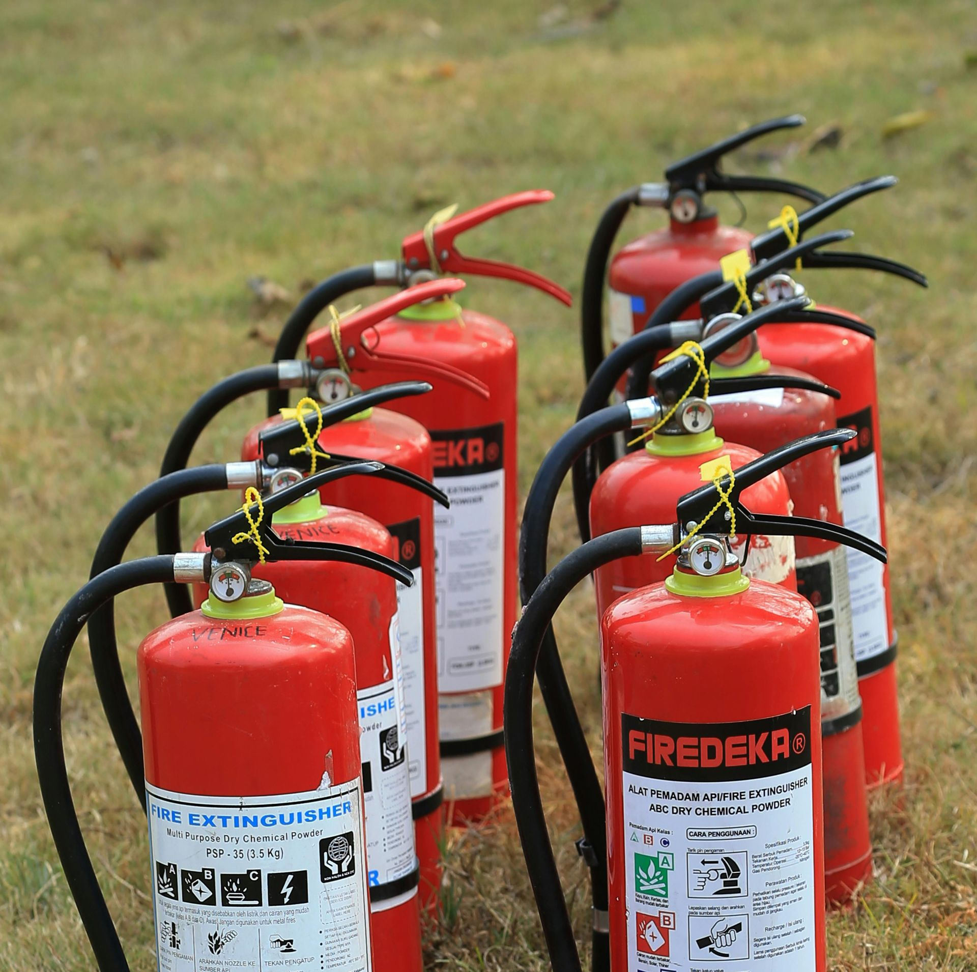 Rows of red fire extinguishers on grassy ground.