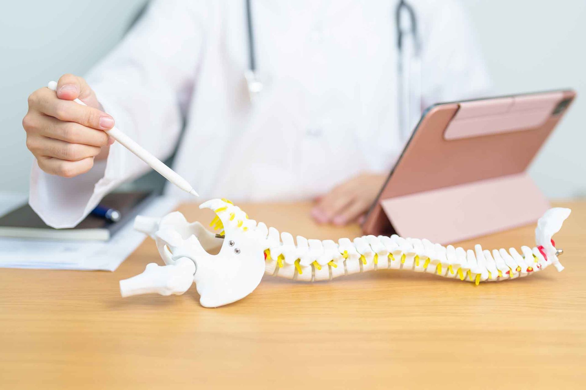 A doctor is holding a pen over a model of a spine.