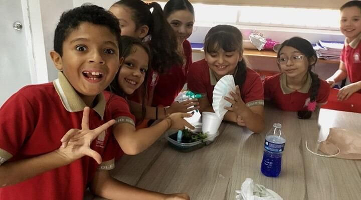 COLEGIO BICULTURAL GÉNESIS SC