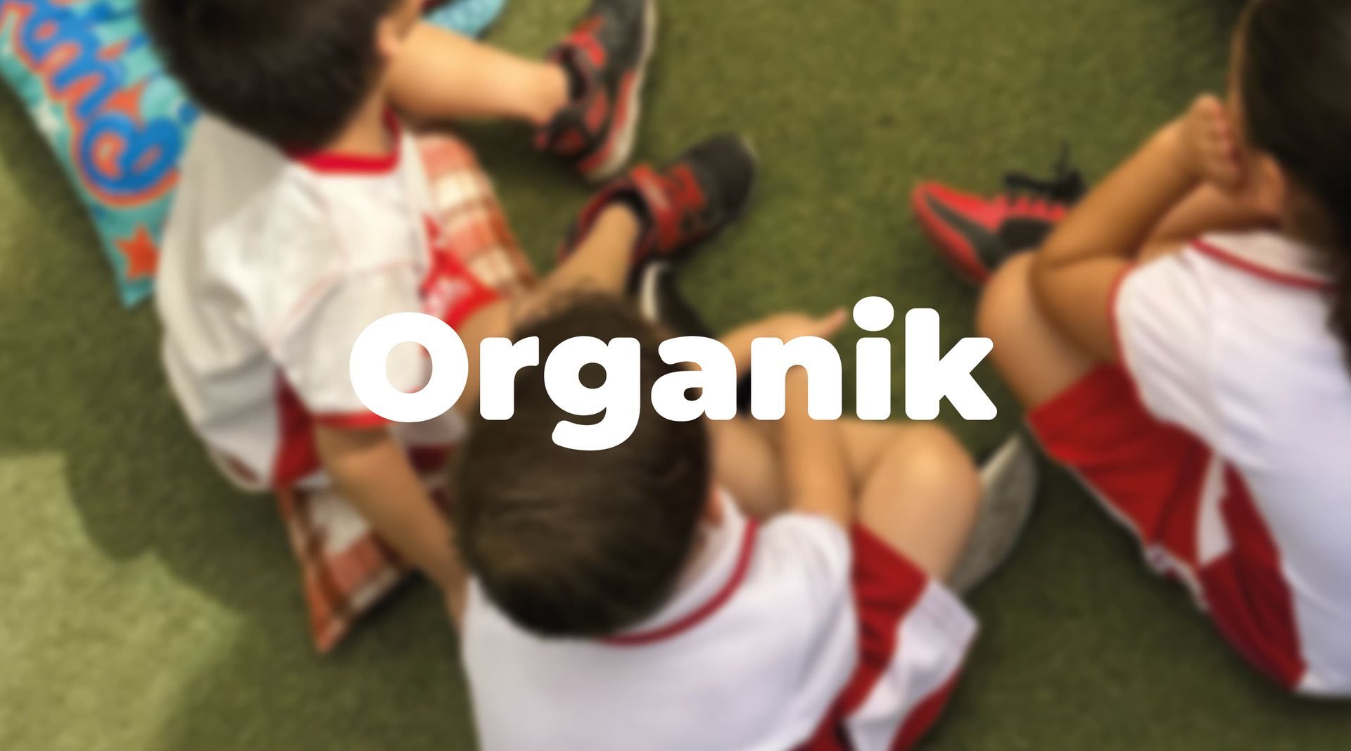 COLEGIO BICULTURAL GÉNESIS SC