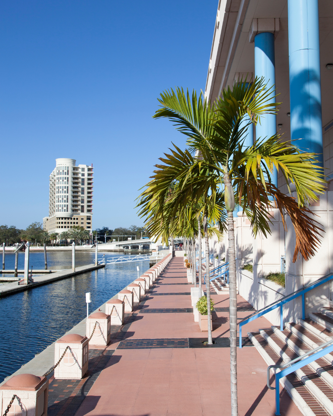 A row of palm trees along a sidewalk next to a body of water.