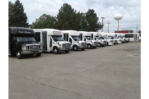 A row of buses are parked in a parking lot