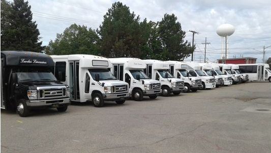 A row of buses are parked in a parking lot