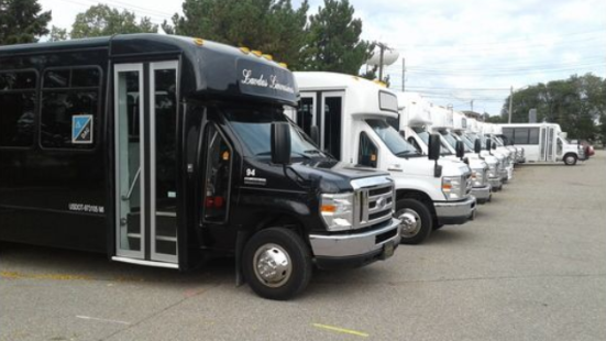 A row of buses are parked in a parking lot