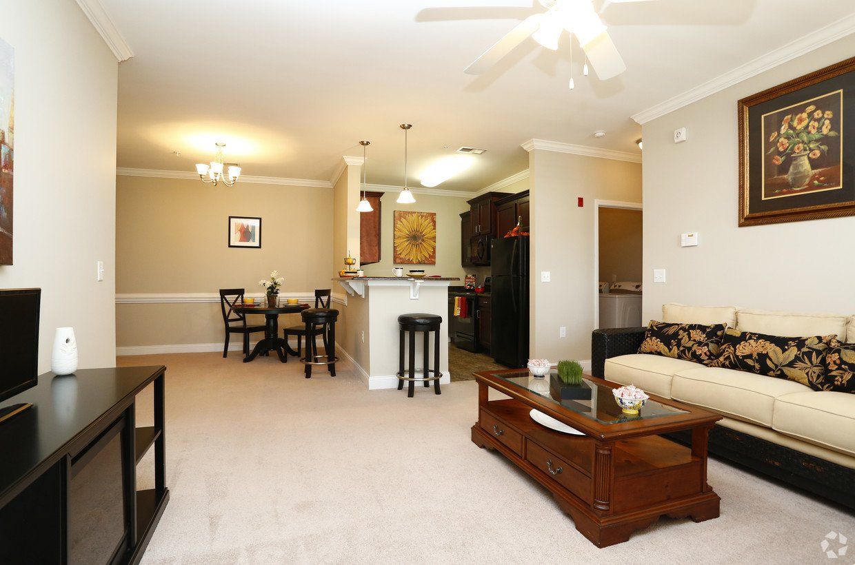 Luxury Apartment Space