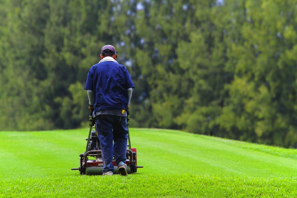 Man Mowing Lawn — Wellington Mowers & Chainsaws in Wellington, NSW