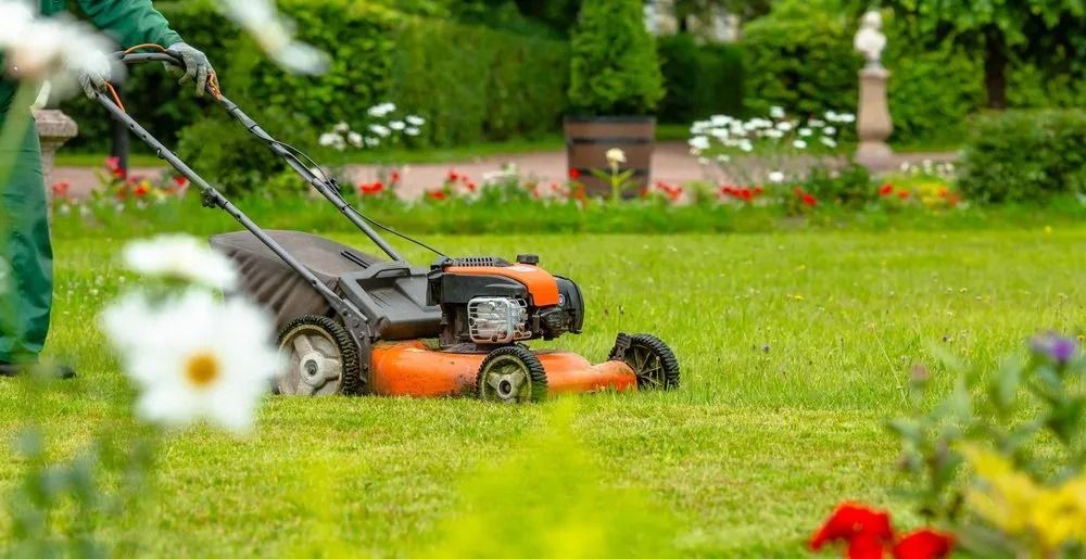 Person mowing a green lawn with an orange lawnmower, surrounded by flowers and shrubs in a garden— Wellington Mowers & Chainsaws in Wellington, NSW