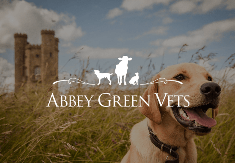 An ad for abbey green vets with a dog in the foreground