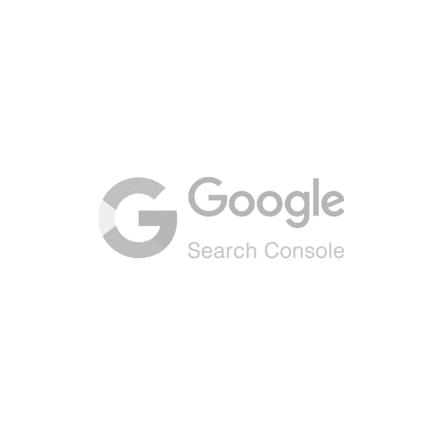 A google search console logo on a white background.