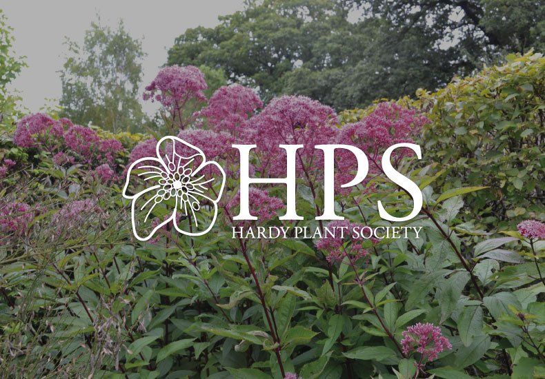 hardy plant society logo