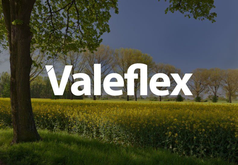 valeflex logo