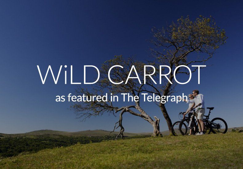 Wild carrot as featured in the telegraph with a couple riding bikes