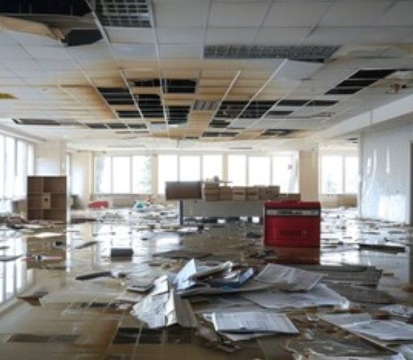 Document Drying St Paul