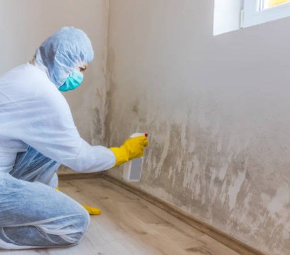 Mold Remediation St Paul