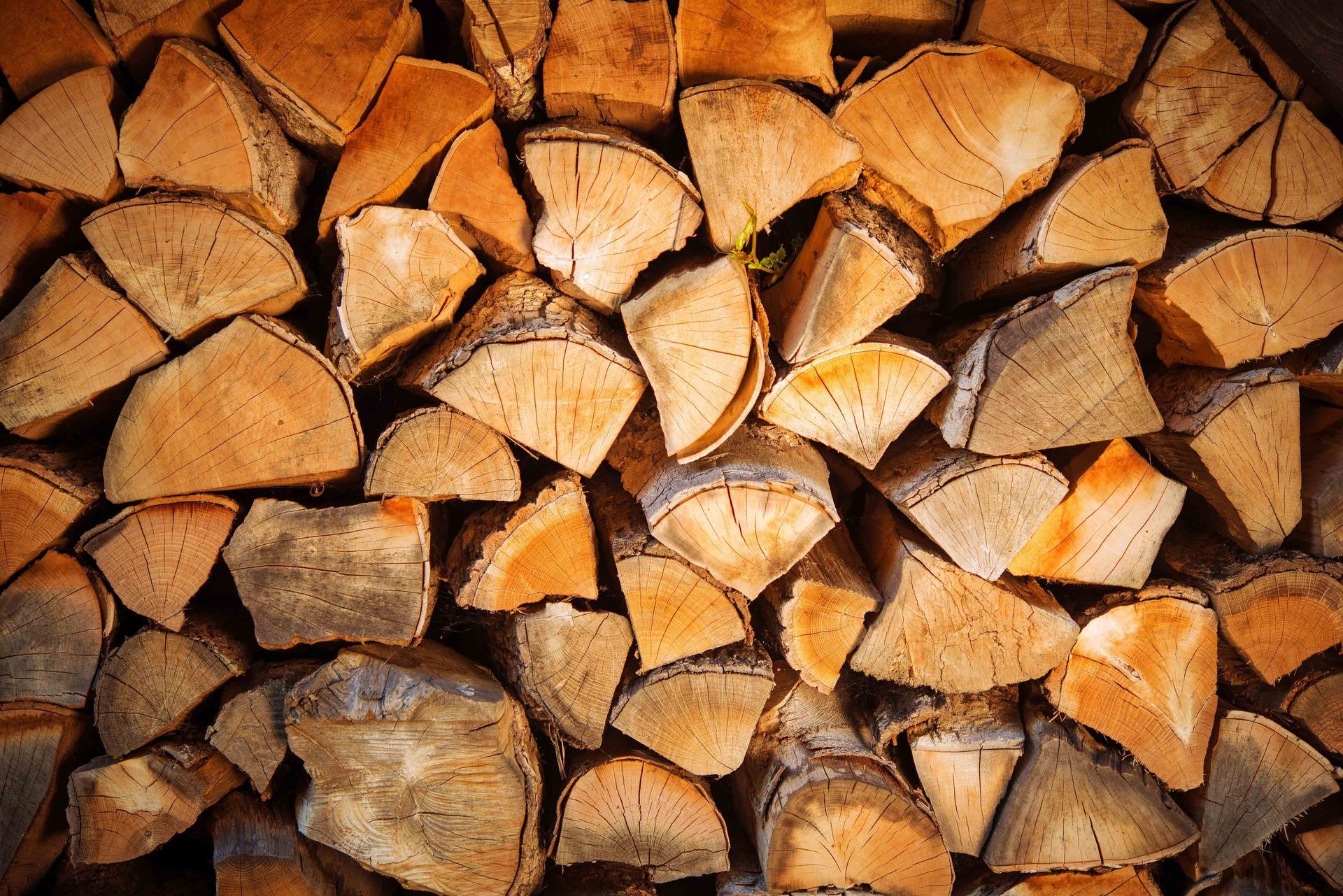 A neatly stacked pile of split logs showing the various textures and warm wood tones of the cut ends.