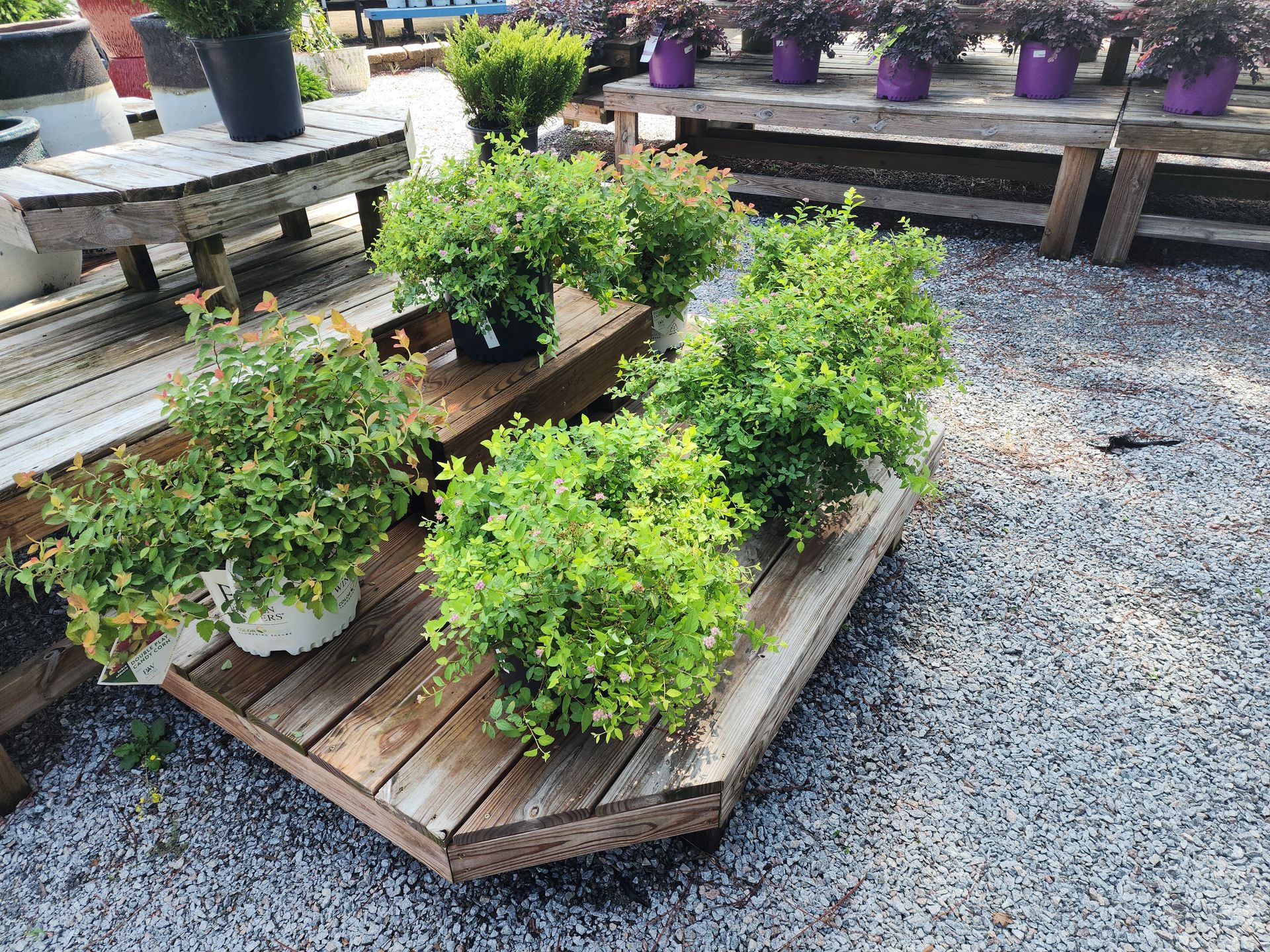 A wooden shelf filled with potted plants in a garden.