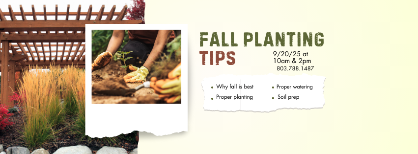 Advertisement for fall planting tips with a person gardening, a pergola, and colorful plants.