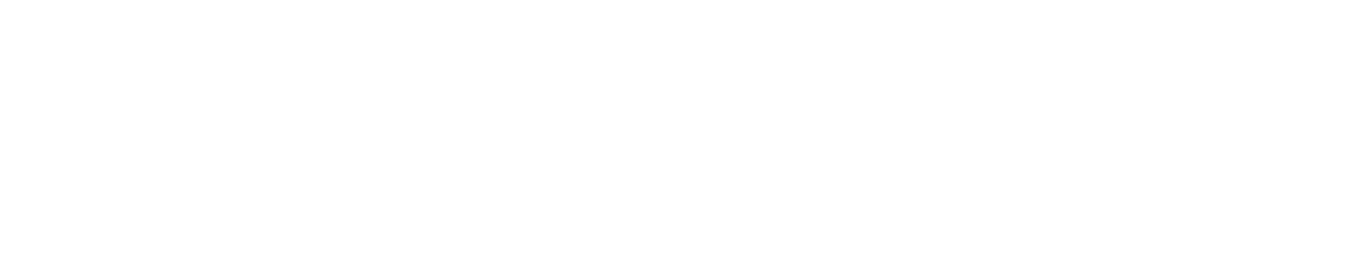 The Vision Collective