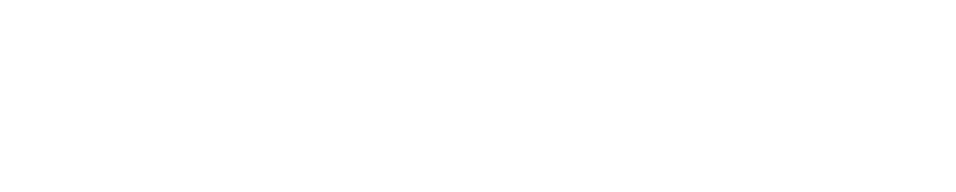 The Vision Collective