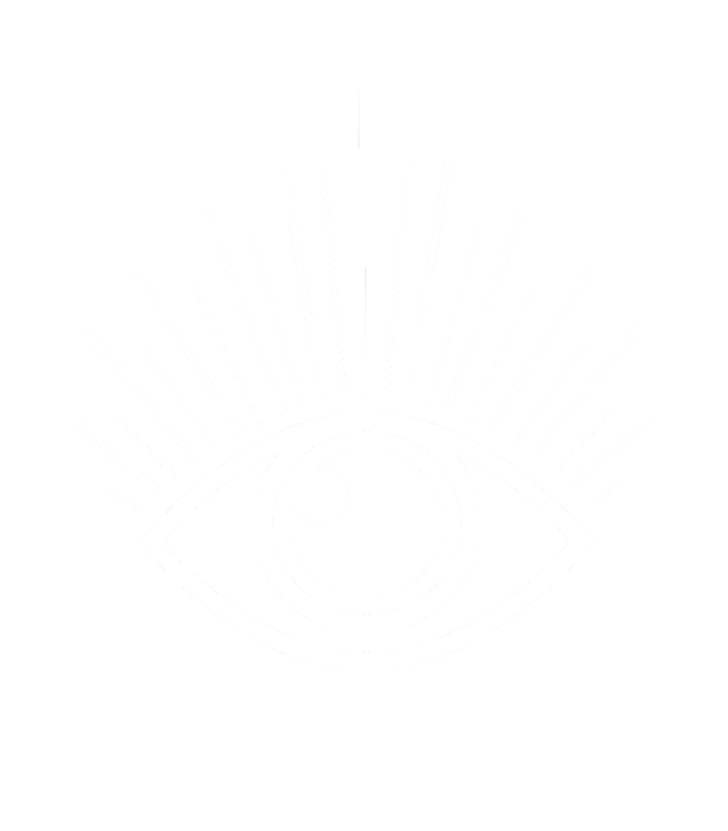 The Vision Collective The Vision Collective