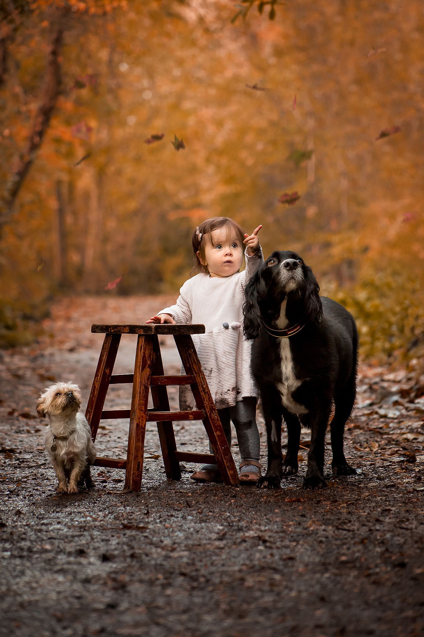 child baby photography  family outdoor lowestoft suffolk oulton broad loddon beccles