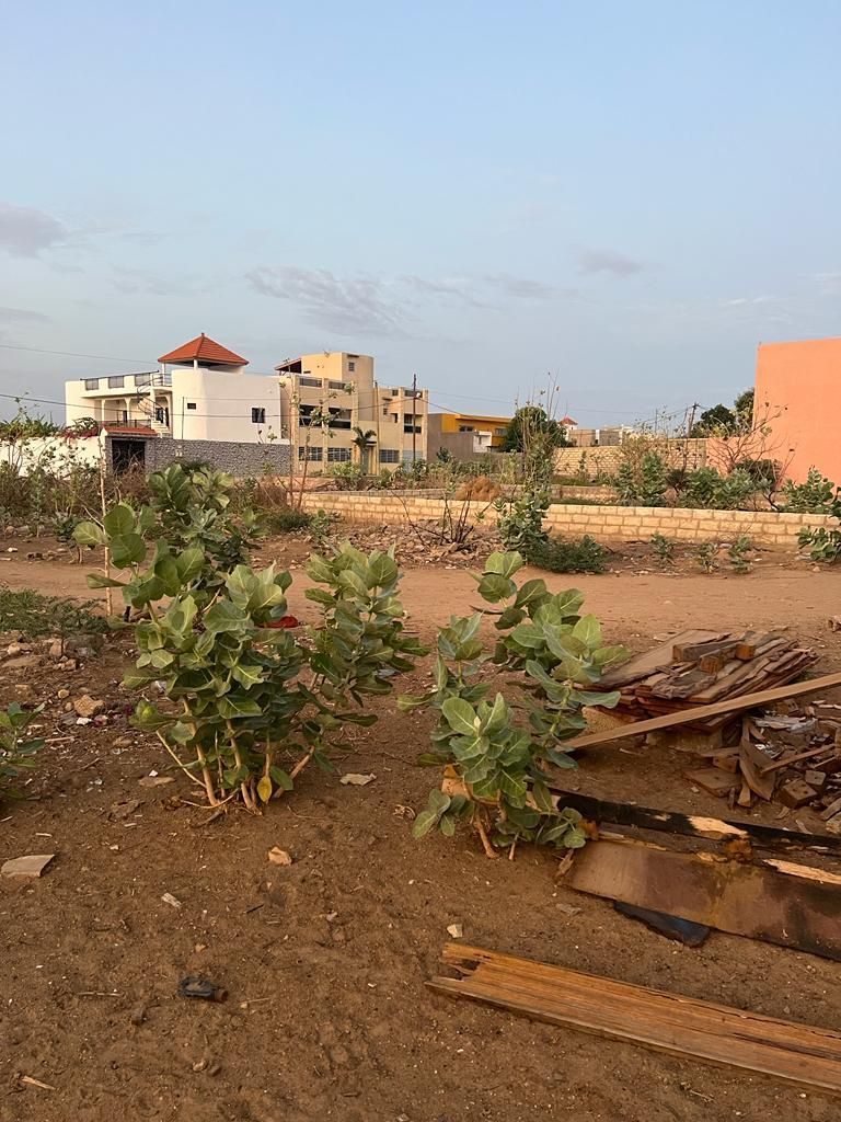 Terrain Saly Tap&eacute;e 3 extention