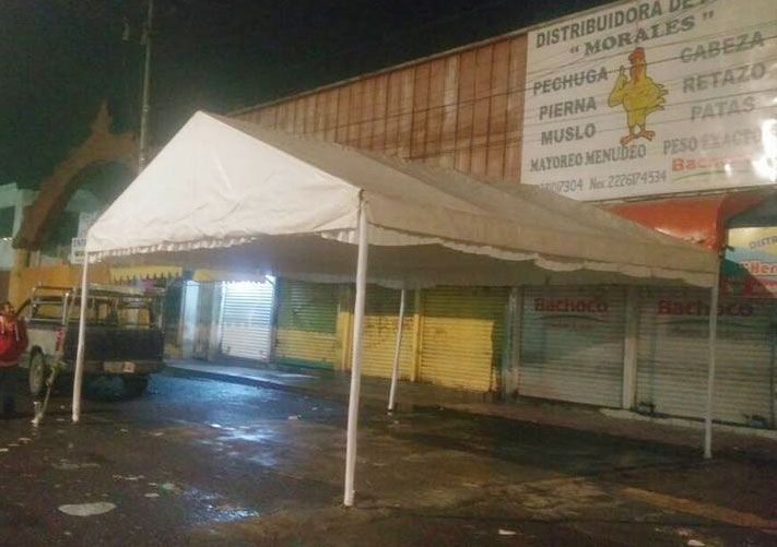 LONAS CARPAS Y VELARIAS MANZANILLA