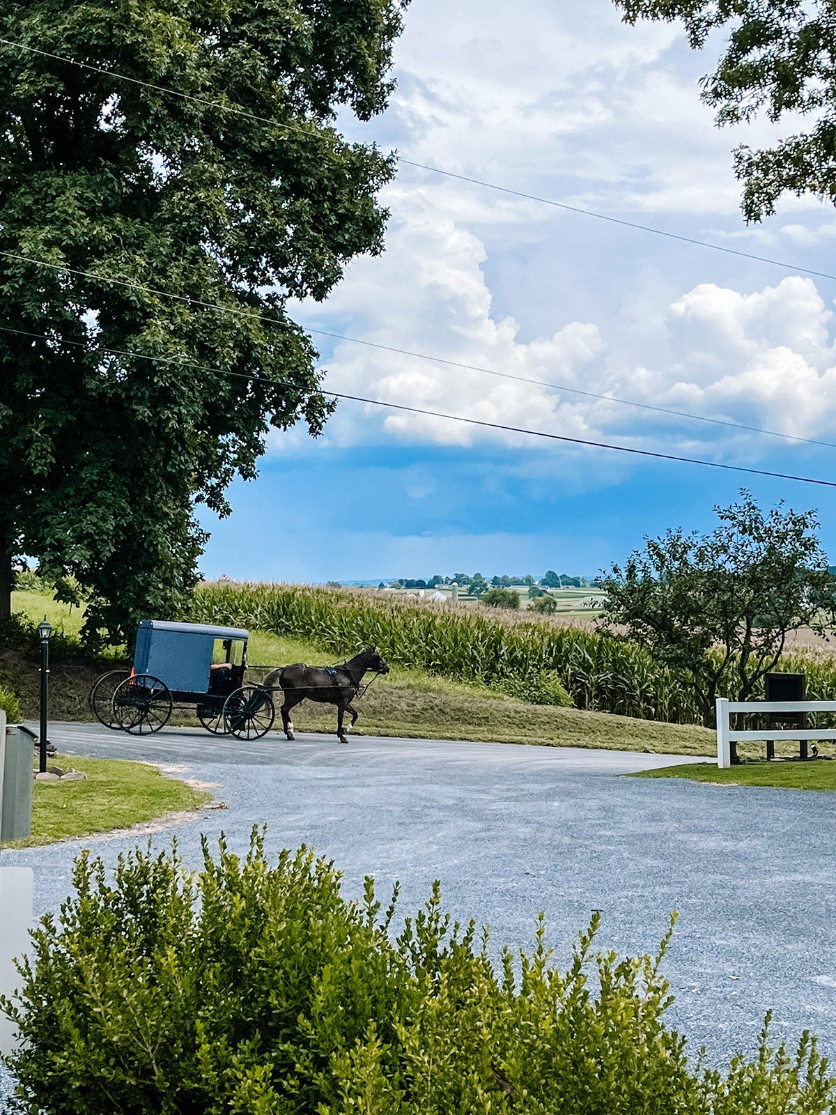 Horse & Buggies Regularly Pass by Our Entrance.