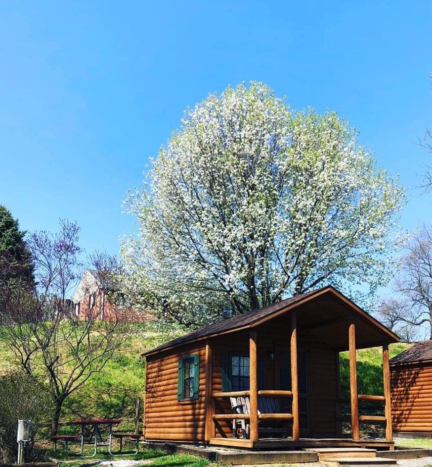 Each Cabin Comes with a Picnic Table