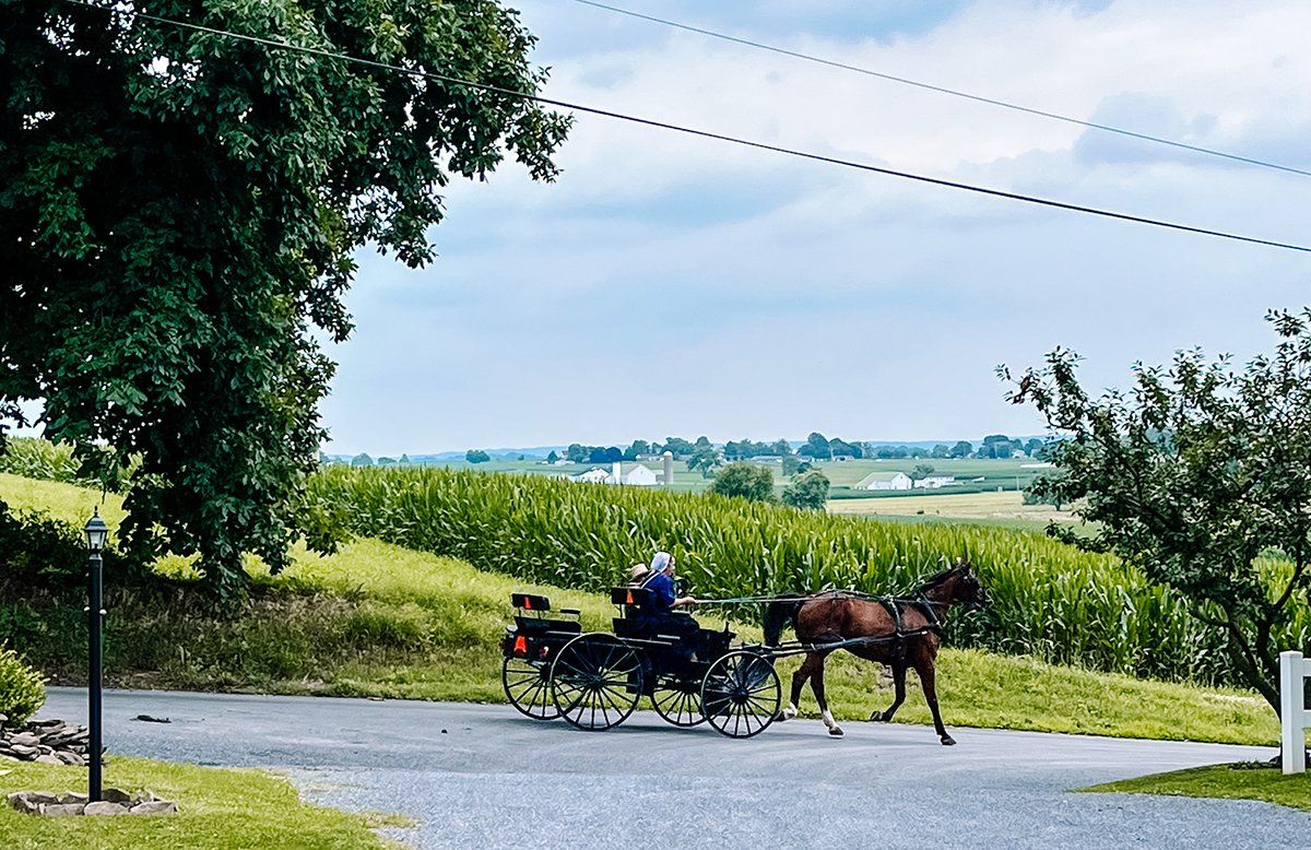 A Local Amish Family Passing By...