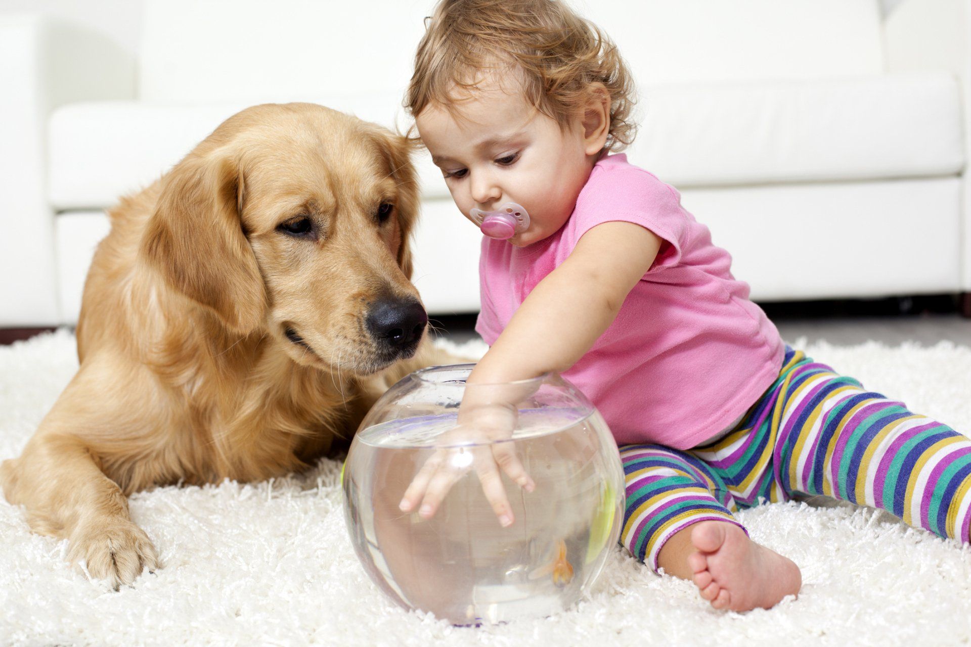 Заводить ли ребенка. Домашние животные для детей. Забота о домашних животных. Дети с домашними животными. Дом животные для детей.