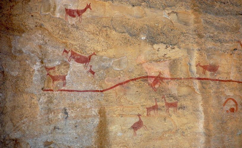 Un cuadro de animales en una pared con una línea roja.