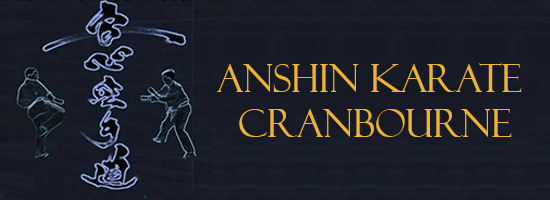 Anshin Karate Cranbourne