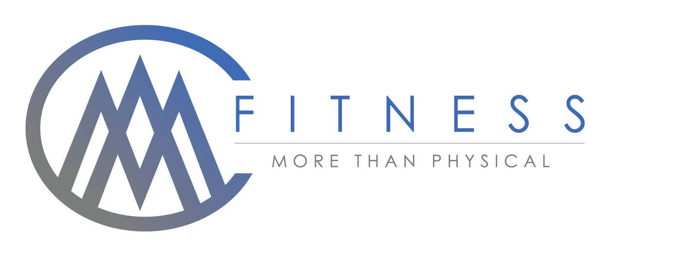 The logo for fitness more than physical has a blue circle with mountains in it.