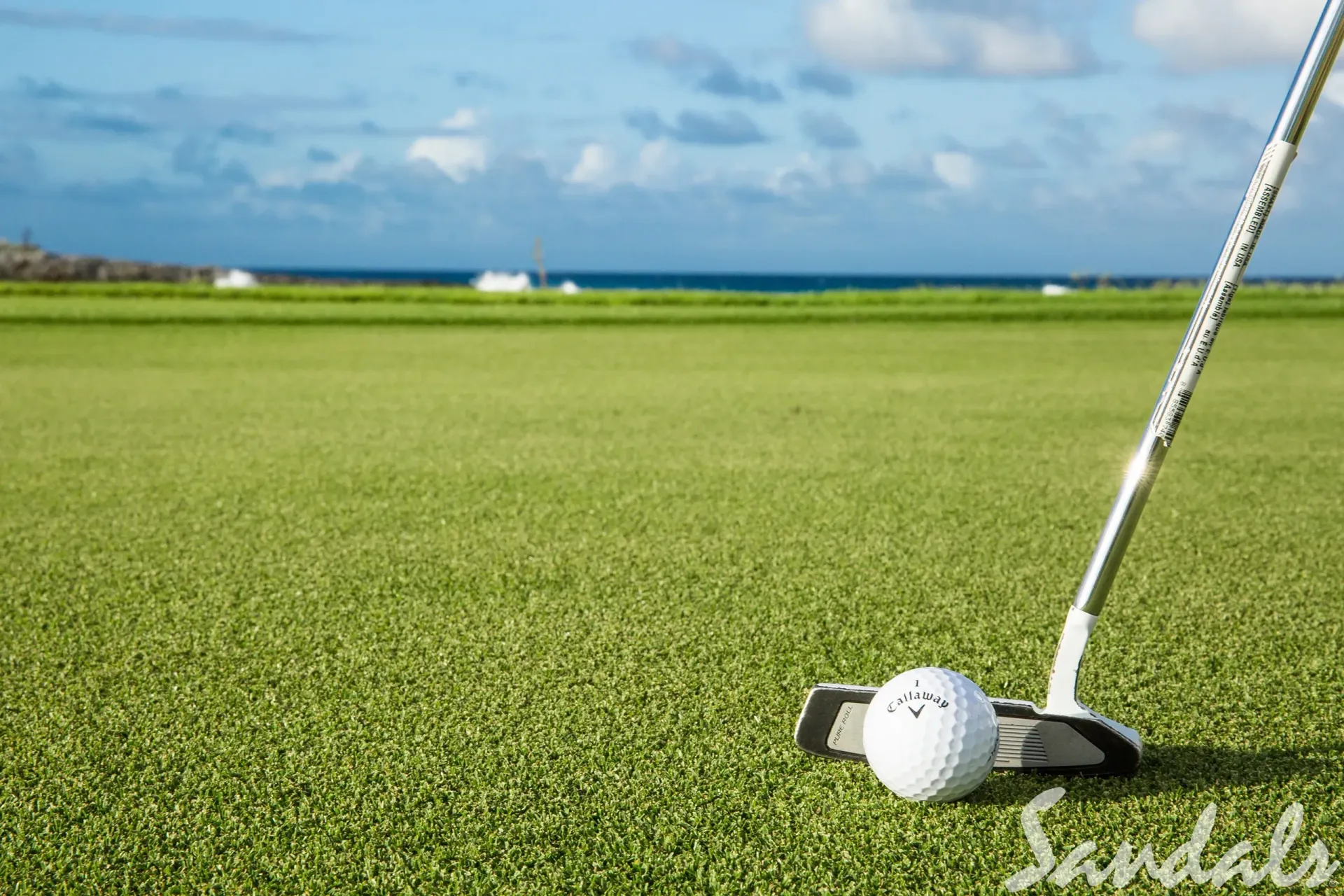 Golf ball on green, putter poised, ocean and sky in background.