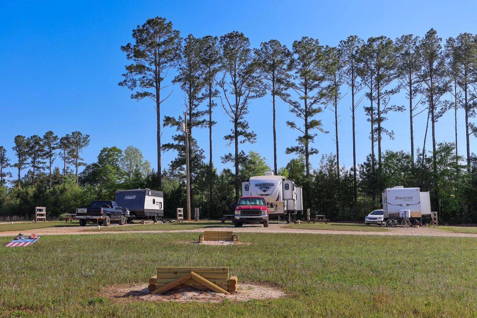 RVs parked in a grassy campsite with tall pine trees under a clear blue sky.