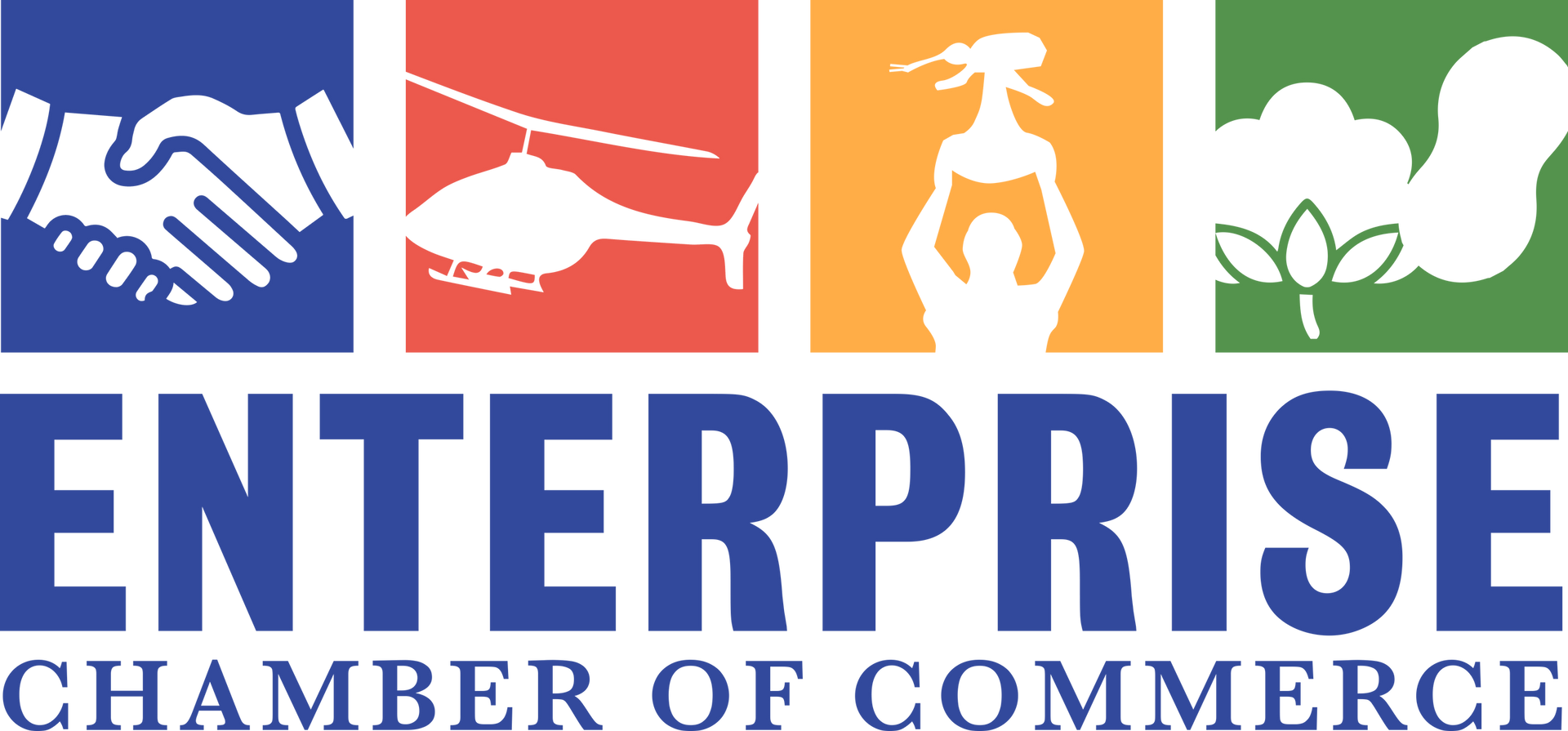 Enterprise Chamber of Commerce logo with blue, red, orange, and green icons above text
