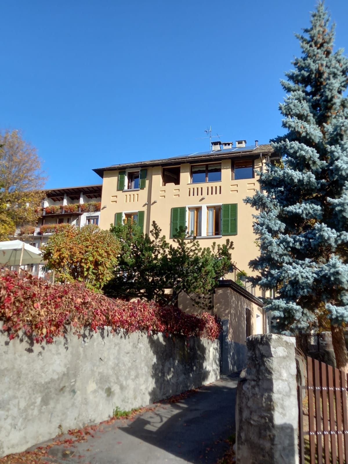 Una casa con le persiane verdi e un albero blu di fronte